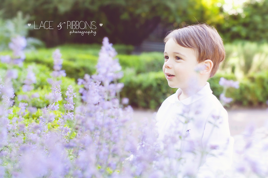 Lace & Ribbons photography mini-sessions